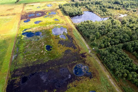Vreeser Wiesen Bockholter Dose drone image