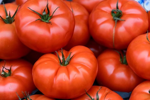 Meat tomatoes
