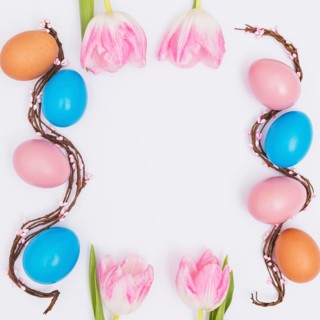 Frame from tulips eggs
