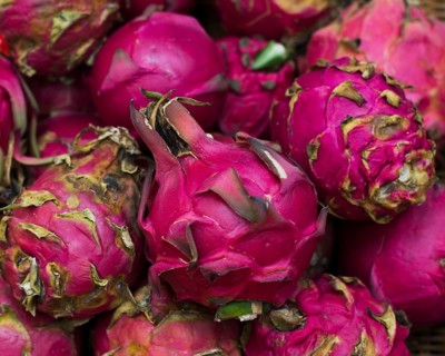 Close up assortment dragon fruits