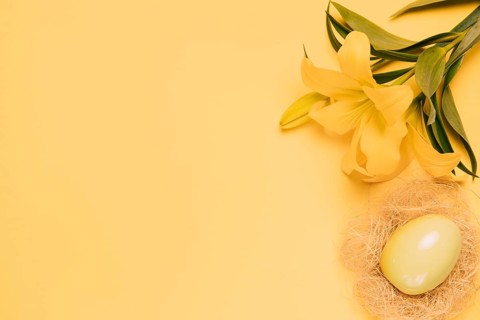 Elevated view fresh lily flower with easter egg nest yellow backdrop