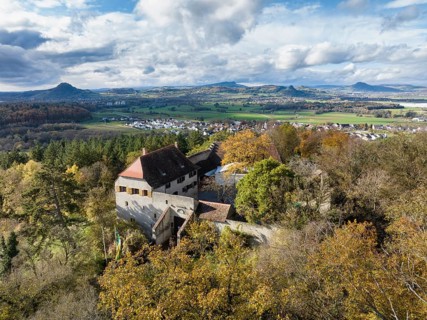 Aerial view of Friedingen Castle