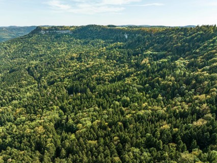 Autumn forest at Lochenhoernle