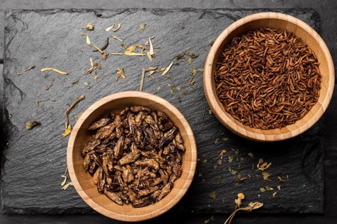 Fried insects wooden bowl top view