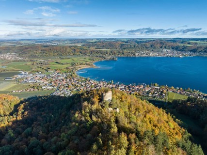 Aerial view of Lake Constance