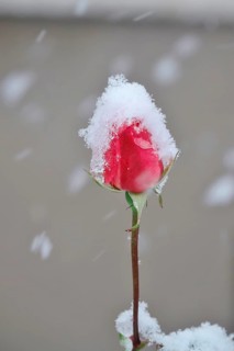 First snow