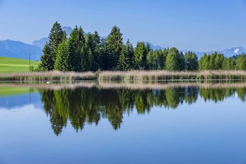 Panorama at Schmutterweiher