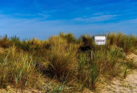 Beach access with sand dunes