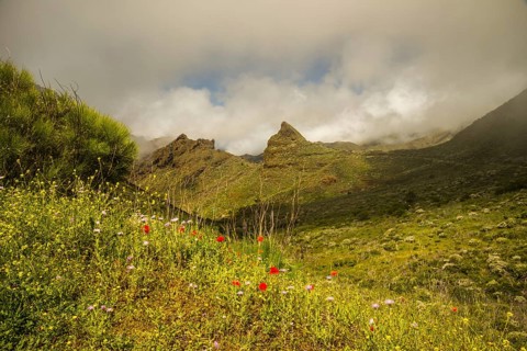 Teno Mountains