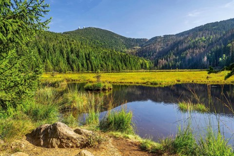 Nature reserve Kleiner Arbersee with floating islands and Grosser Arber 1456m