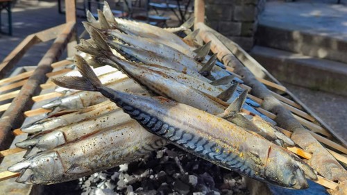Fish on the charcoal grill