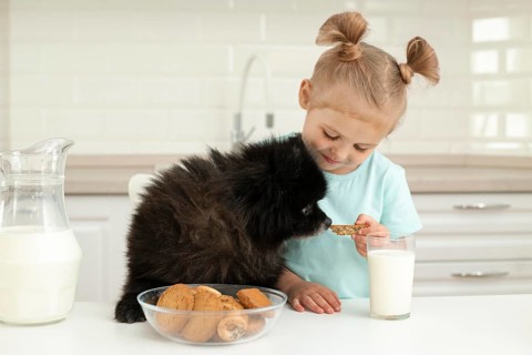 Girl drinking milk playing with dog home