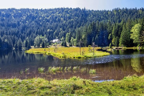 Kleiner Arbersee nature reserve with Seehaeusl inn