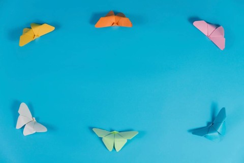 Blue background with frame made butterflies