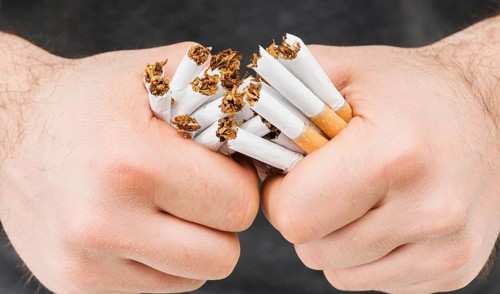 Close up hands breaking bundle cigarettes