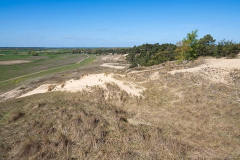 Inland dunes