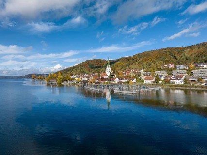 Aerial view of the village of Sipplingen on Lake Constance with autumn vegetation