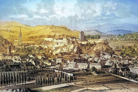 View of the pilgrimage town of Lourdes