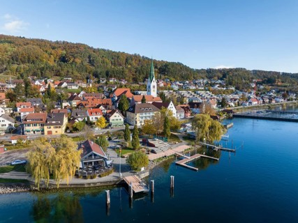 Aerial view of the village of Sipplingen on Lake Constance with autumn vegetation
