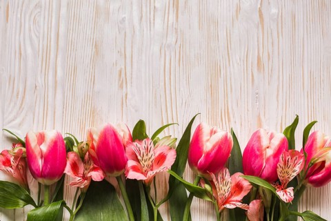 Copy space tulips table