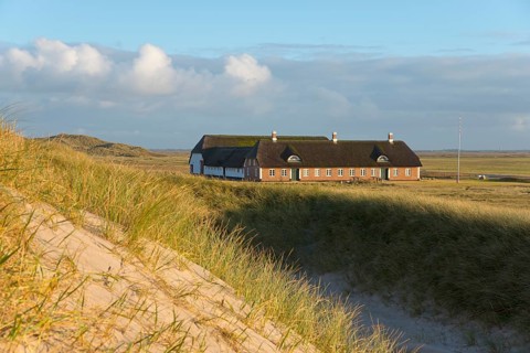 Historic farm in the dunes by Tim's car park