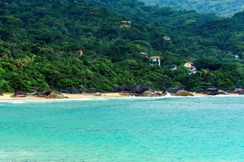 Beach surrounded by forest in Trindade