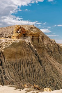 Petrified Forest Sarmiento