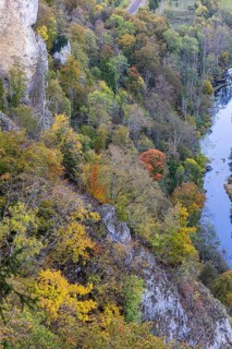 Viewpoint Knopfmacherfelsen with autumn forest