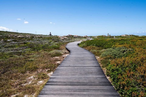 Wooden jetty