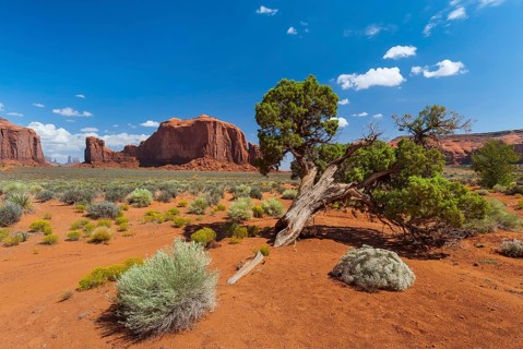 Landscape in Monument valley