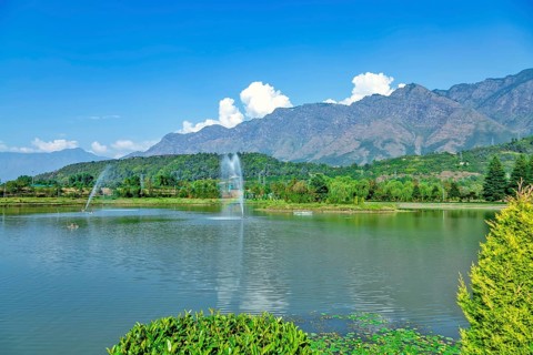 Jawaharlal Nehru Memorial Botanical Gardens in Srinagar