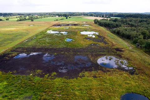 Vreeser Wiesen Bockholter Dose drone image