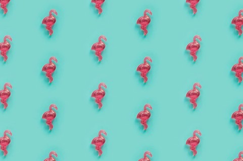 Flamingo pattern