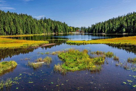Nature reserve Grosser Arbersee with Arberseehaus