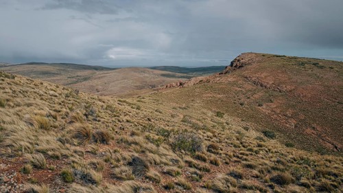 Patagonian steppe