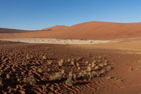Dunes in Deadvlei