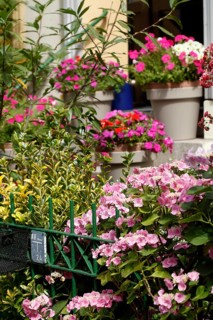 Front garden with garden fence and flower pots