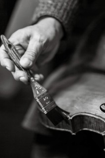 Senior expert violin maker luthier