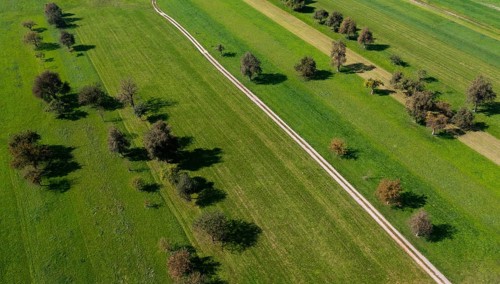 Drone view
