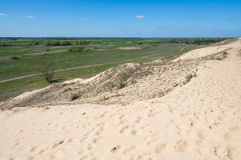 Inland dunes