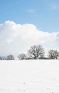 Winter landscape with gentle hill
