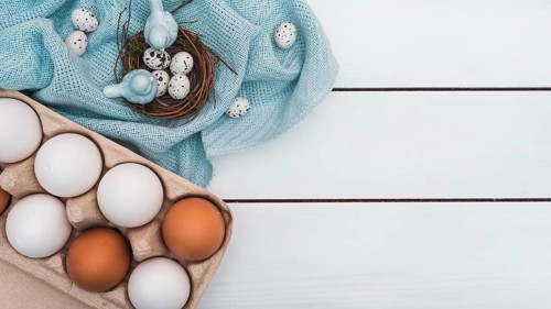 Quail eggs nest with rack