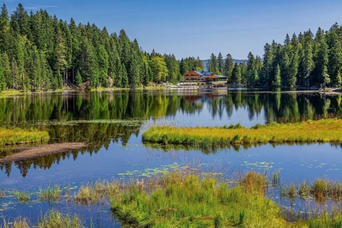 Nature reserve Grosser Arbersee with Arberseehaus