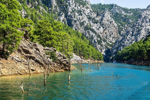 GREEN CANYON