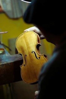 Senior expert violin maker luthier