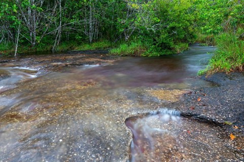Cano Piedras