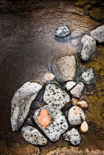 Art with natural objects
