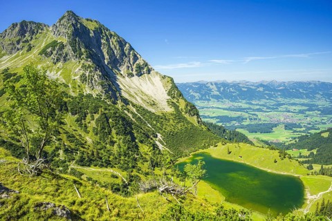 Rubihorn