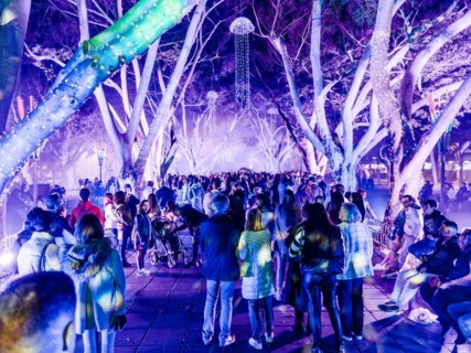 Beautiful Fiesta da Luz