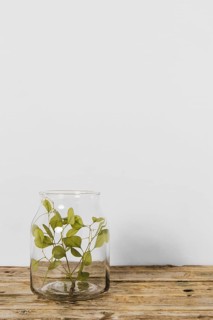 Abstract minimal plant pot copy space